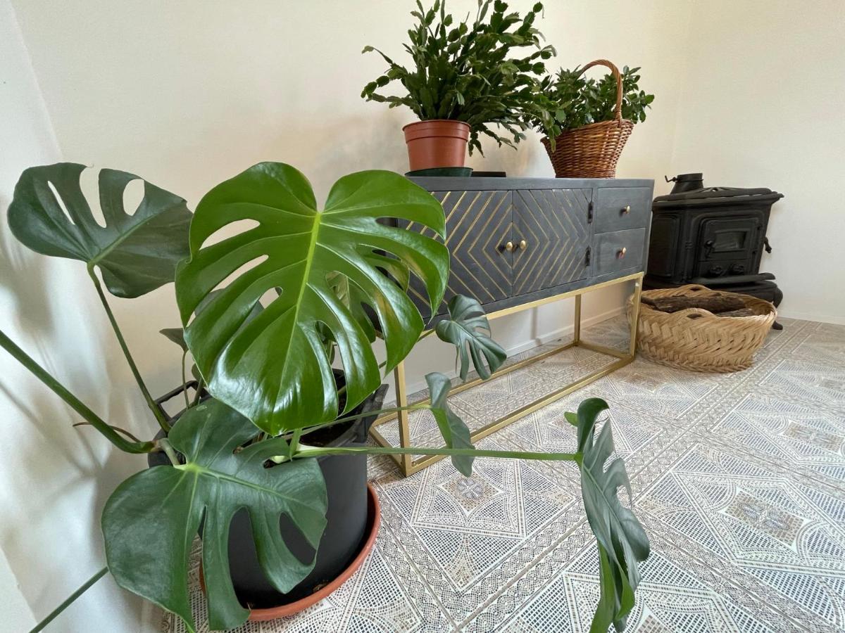 Cilka'S House, Authentic Homestay Near Lipica Sezana Exterior photo
